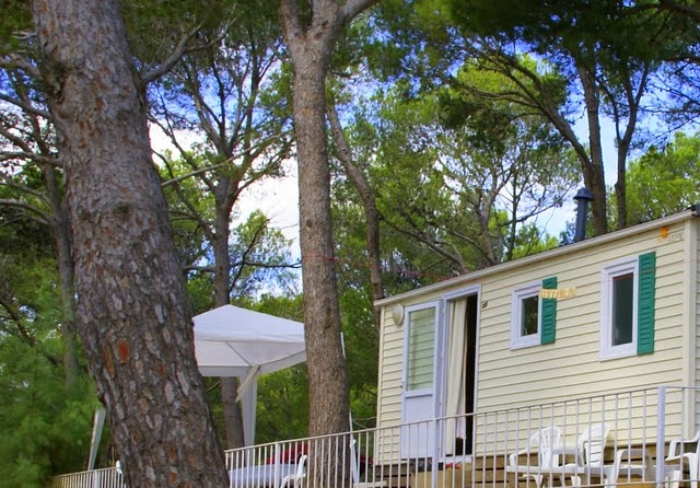 zobacz camping - zdjęcie 19