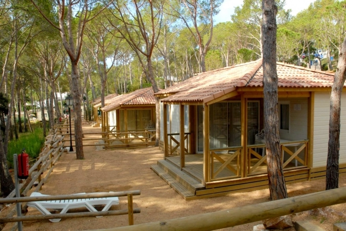 zobacz camping - zdjęcie 12