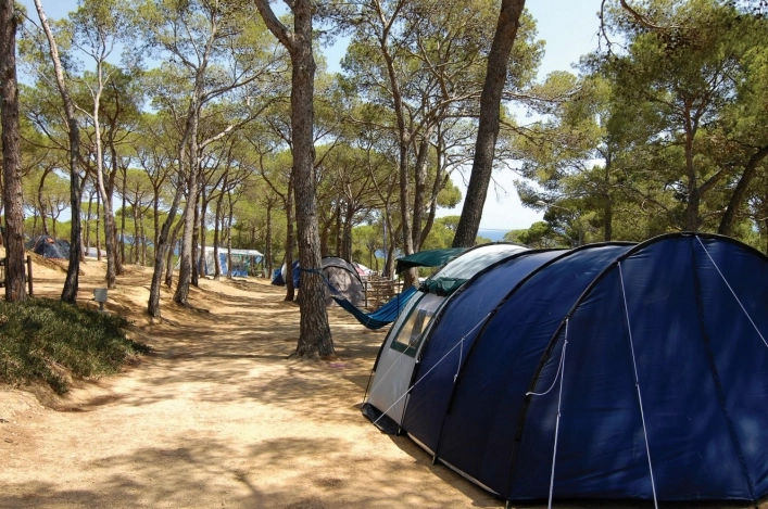 zobacz camping - zdjęcie 11