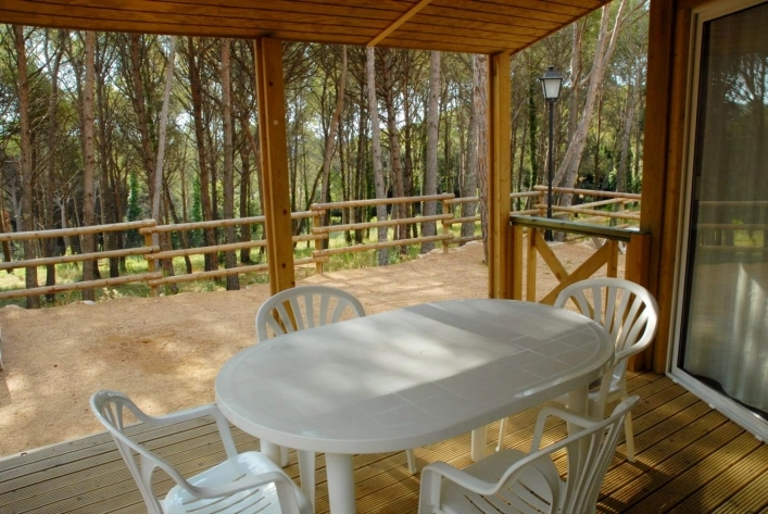 zobacz camping - zdjęcie 6