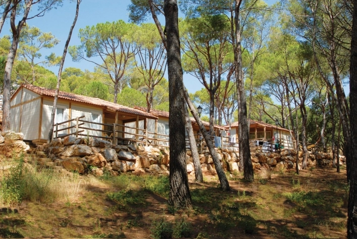 zobacz camping - zdjęcie 4