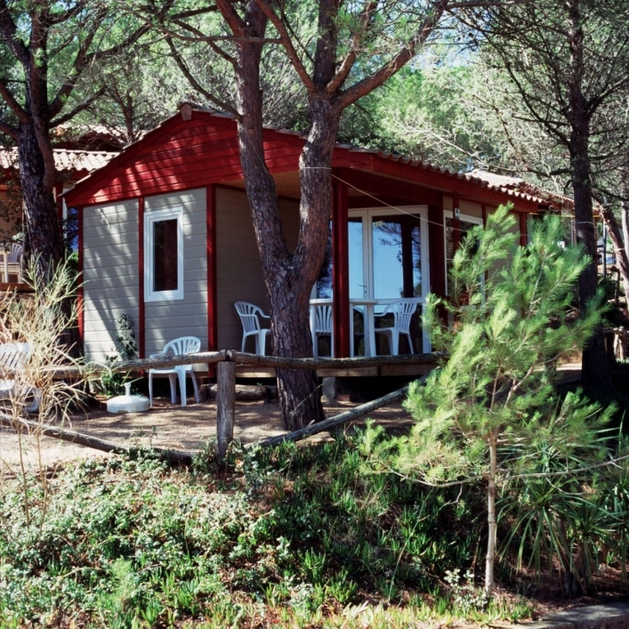 zobacz camping - zdjęcie 3