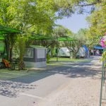 zobacz camping - zdjęcie 9