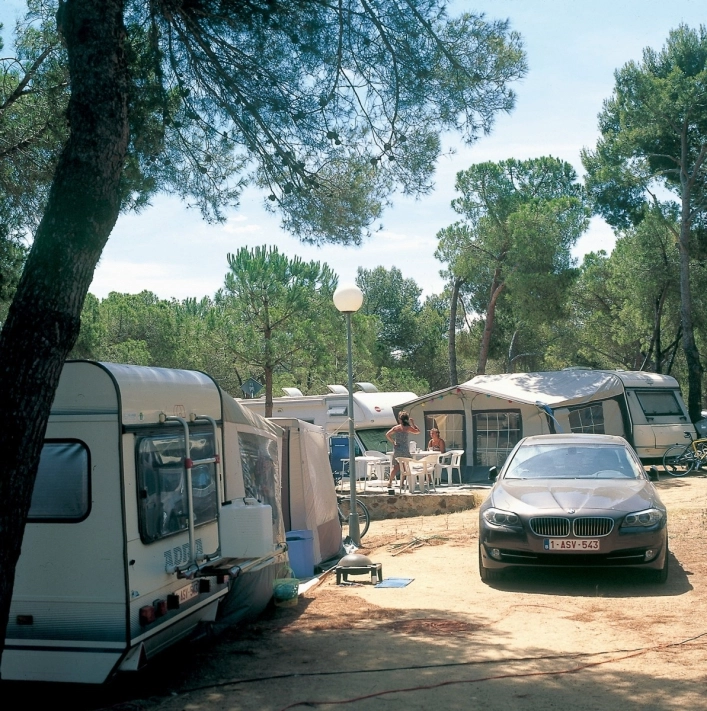 zobacz camping - zdjęcie 12