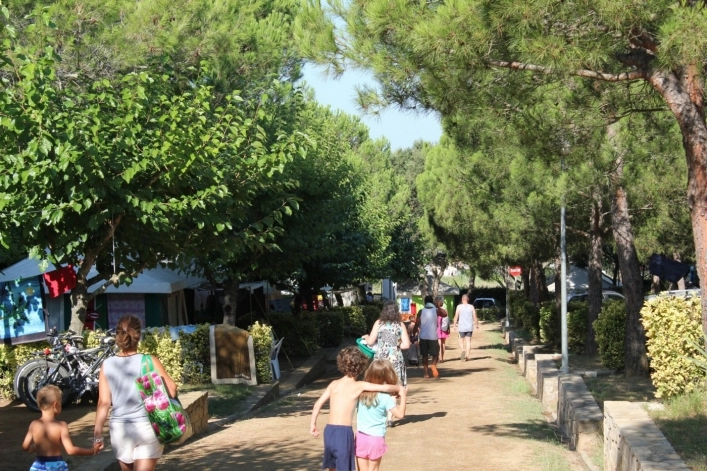 zobacz camping - zdjęcie 4