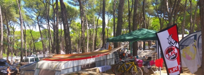 zobacz camping - zdjęcie 5