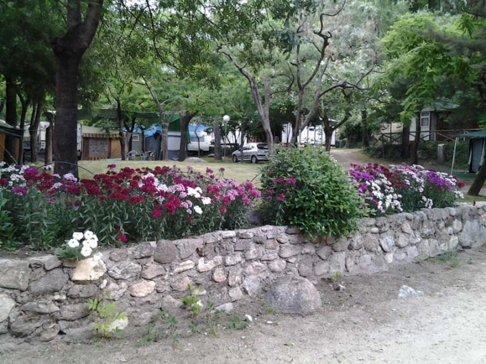 zobacz camping - zdjęcie 17