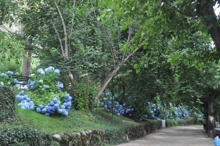 zobacz camping - zdjęcie 14