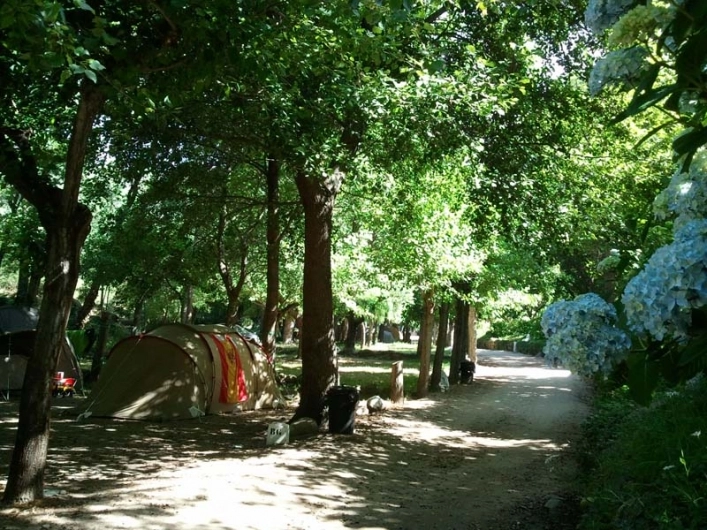 zobacz camping - zdjęcie 13