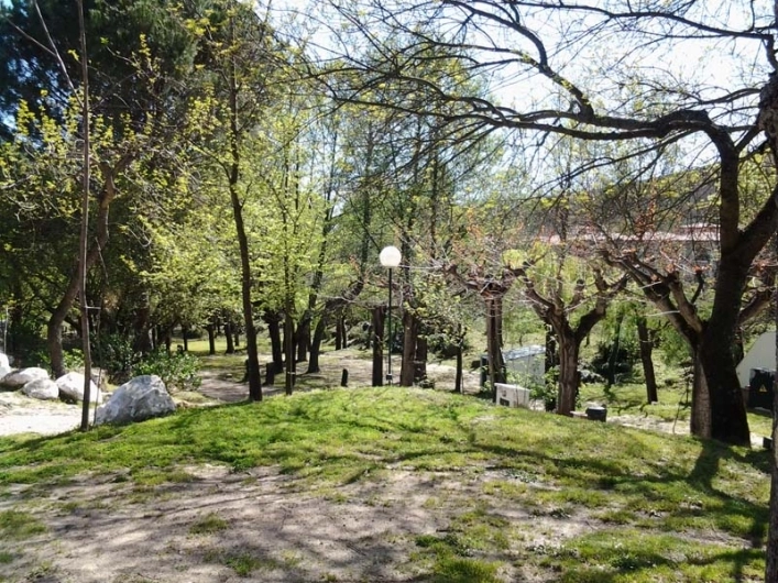 zobacz camping - zdjęcie 11