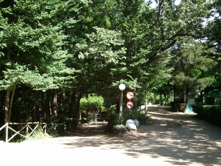 zobacz camping - zdjęcie 2