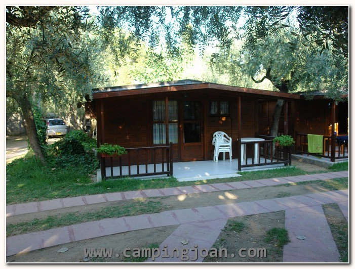 zobacz camping - zdjęcie 14