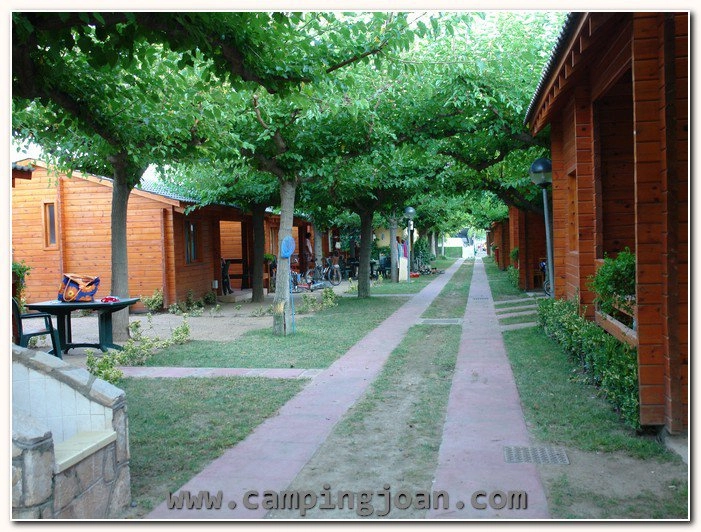 zobacz camping - zdjęcie 13