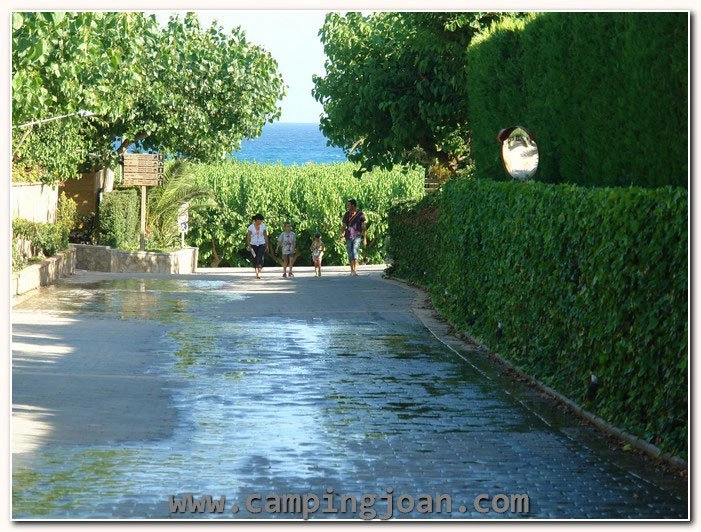 zobacz camping - zdjęcie 12