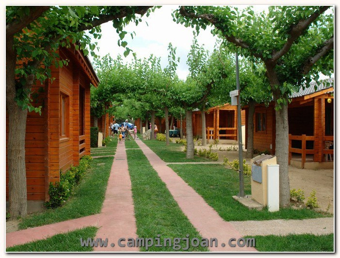 zobacz camping - zdjęcie 7