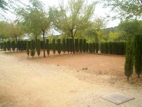 zobacz camping - zdjęcie 6