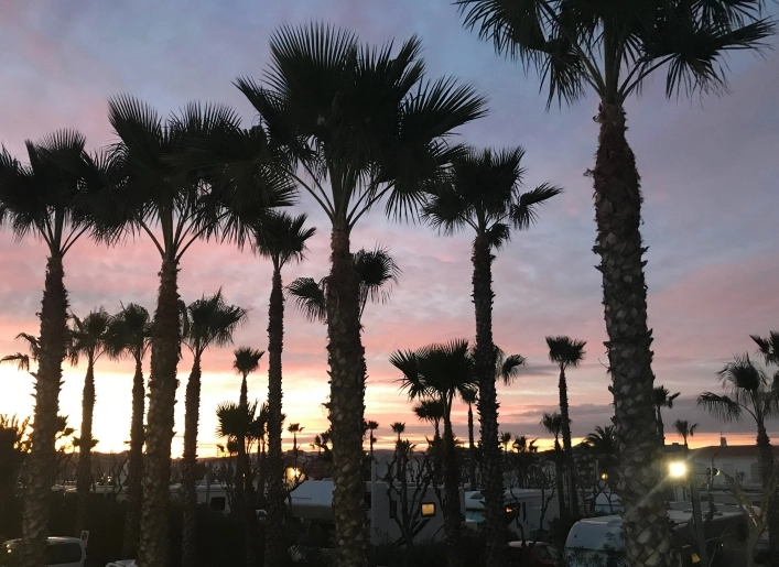 zobacz camping - zdjęcie 19