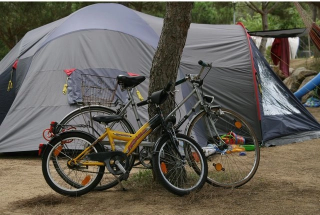 zobacz camping - zdjęcie 15