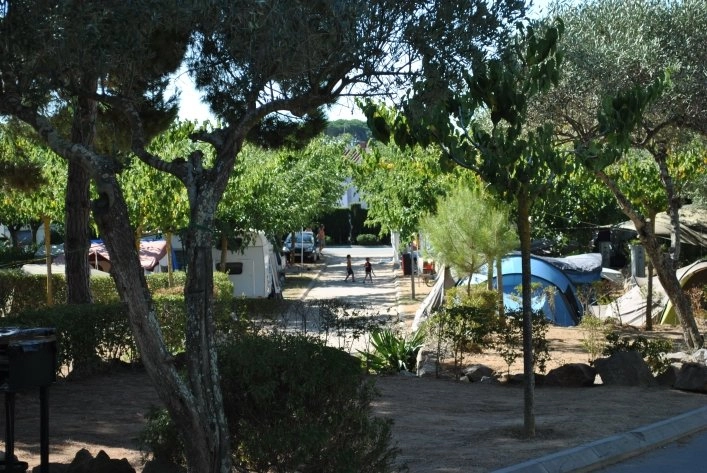 zobacz camping - zdjęcie 11