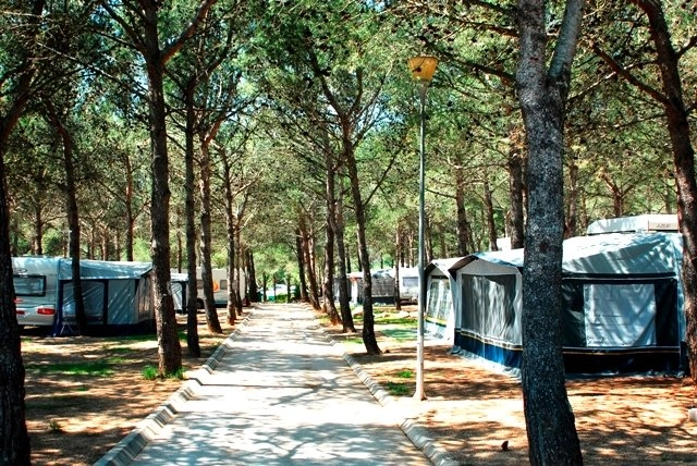 zobacz camping - zdjęcie 10