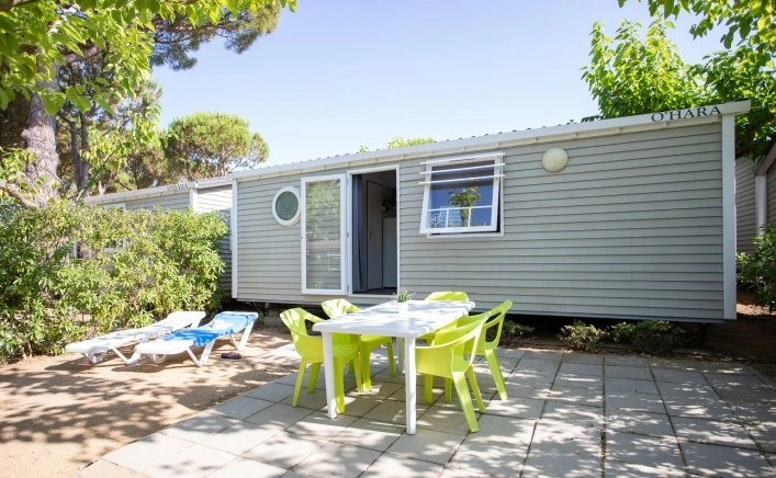 zobacz camping - zdjęcie 9