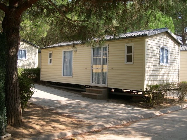 Camping King's - zdjęcie 1