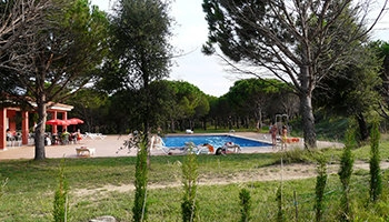 zobacz camping - zdjęcie 4