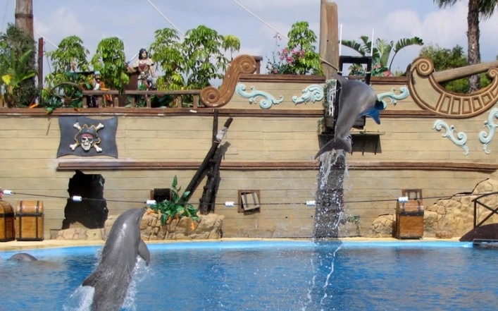 zobacz camping - zdjęcie 8