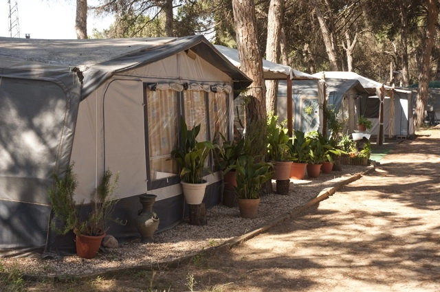 zobacz camping - zdjęcie 22