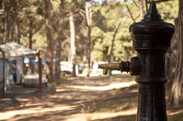 zobacz camping - zdjęcie 21