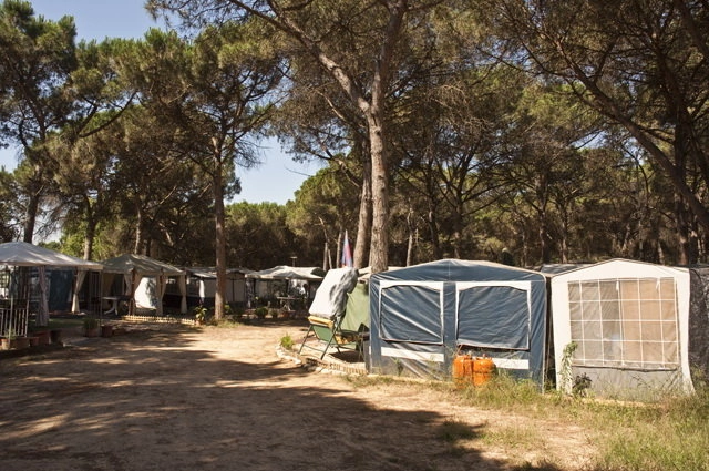 zobacz camping - zdjęcie 19
