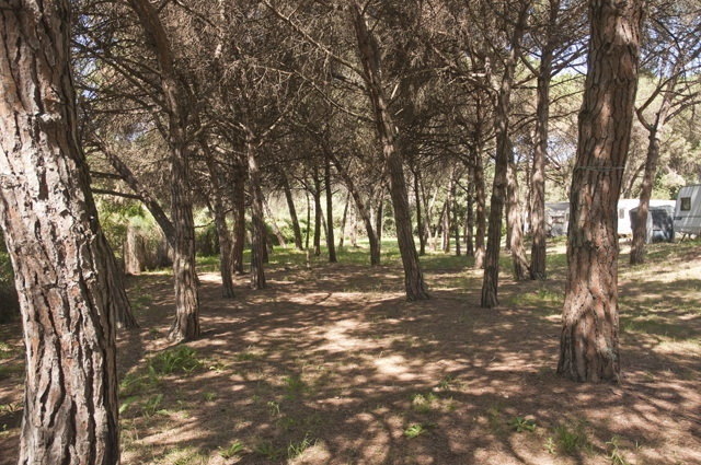 zobacz camping - zdjęcie 17