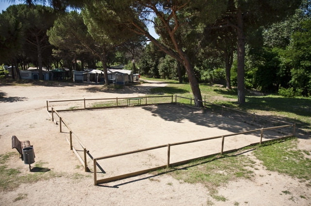 zobacz camping - zdjęcie 16