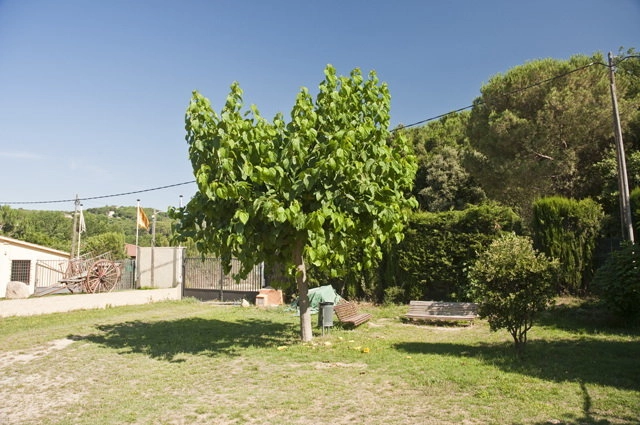 zobacz camping - zdjęcie 12