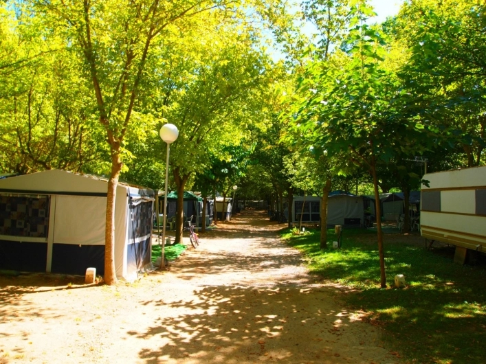 zobacz camping - zdjęcie 19