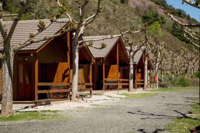 zobacz camping - zdjęcie 22