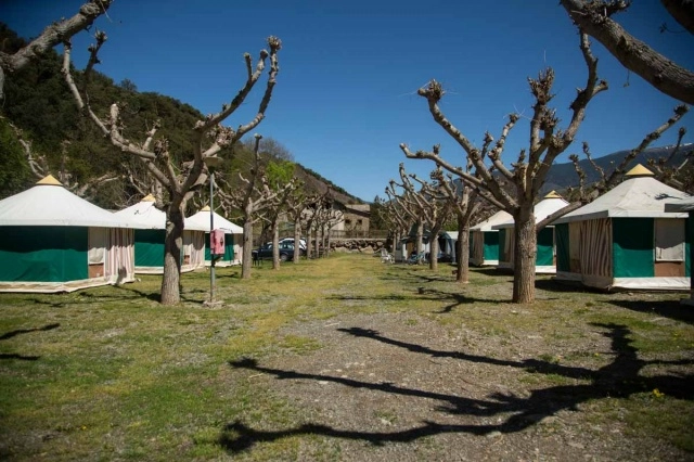 zobacz camping - zdjęcie 15