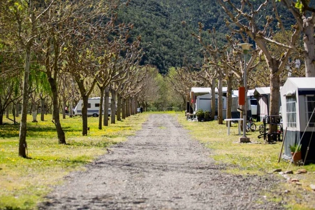 zobacz camping - zdjęcie 5