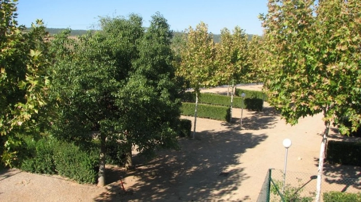 zobacz camping - zdjęcie 12