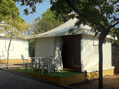 zobacz camping - zdjęcie 24