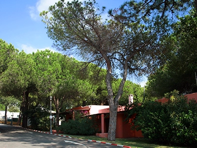 zobacz camping - zdjęcie 21