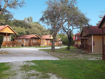 zobacz camping - zdjęcie 18