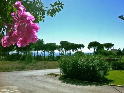 zobacz camping - zdjęcie 1