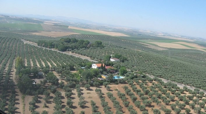 zobacz camping - zdjęcie 13