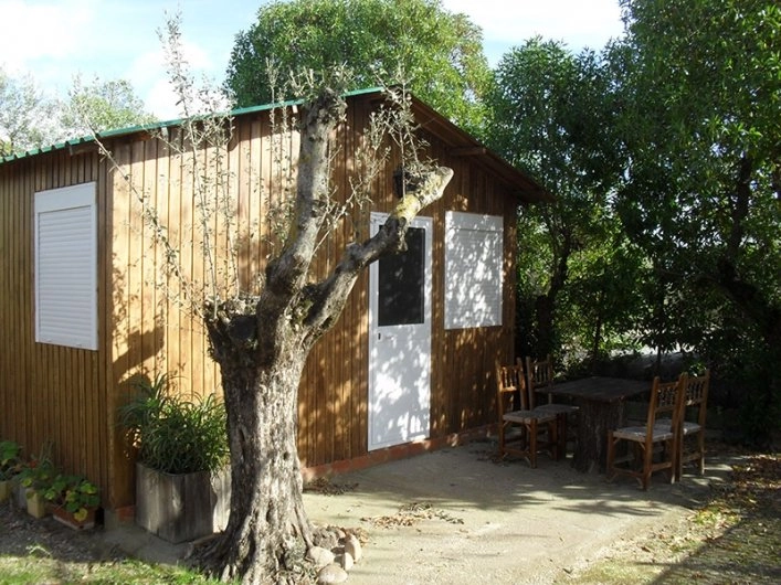 zobacz camping - zdjęcie 6