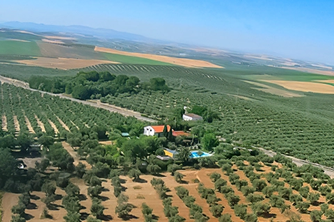 Camping la Campiña