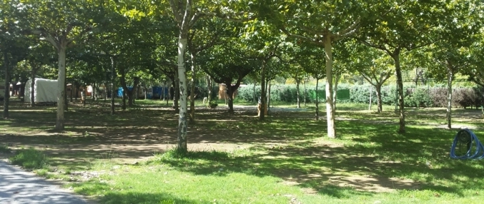 zobacz camping - zdjęcie 3