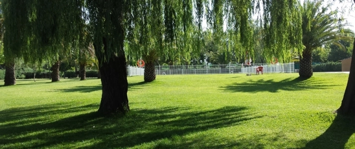 zobacz camping - zdjęcie 1