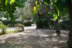 zobacz camping - zdjęcie 19