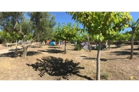 zobacz camping - zdjęcie 17